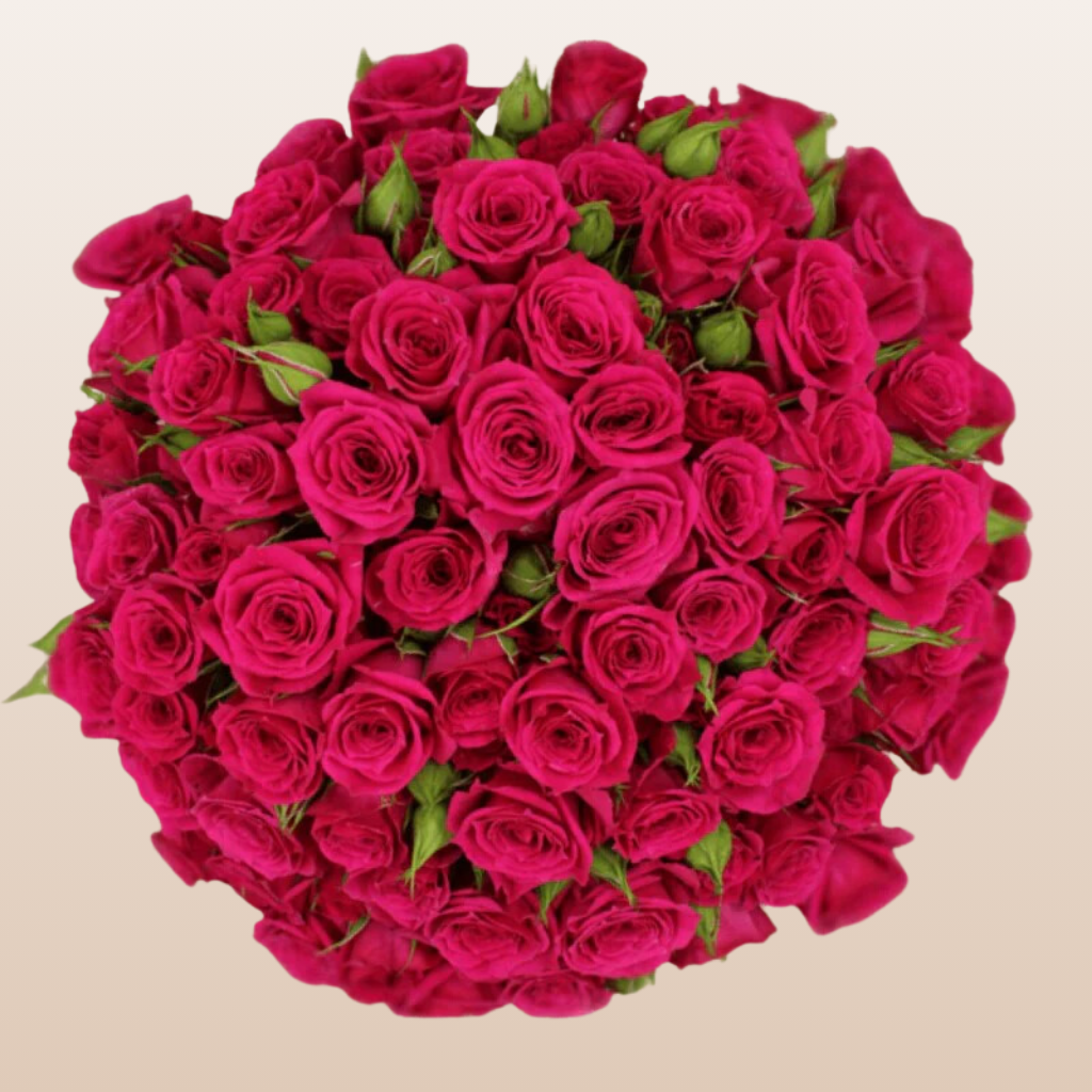 Fire Up Hot Pink Spray Rose | Free Delivery Near Me - EbloomsDirect