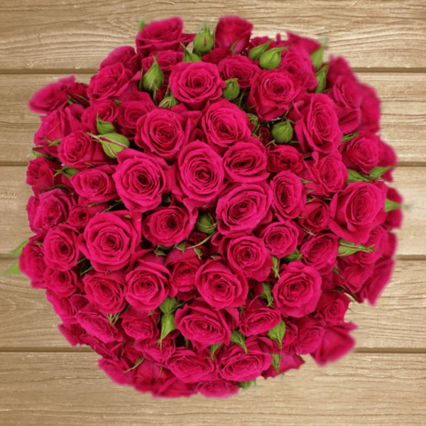 Fire Up Hot Pink Spray Rose EbloomsDirect Eblooms Farm Direct Inc.