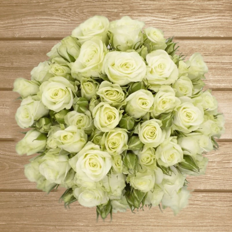 Floreana White Spray Roses - EbloomsDirect