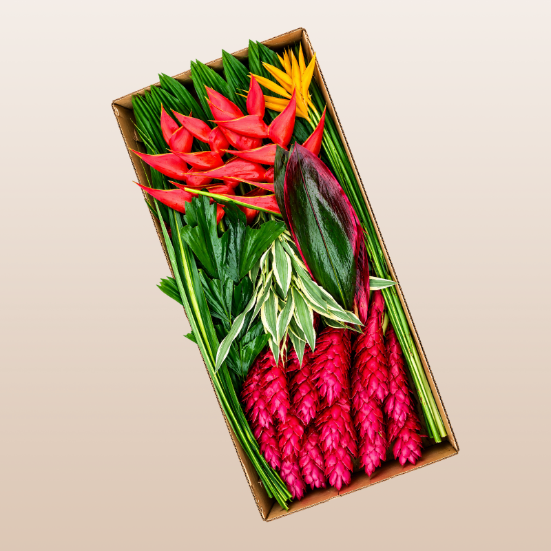 Box of tropical flowers, including red and green plants, on a beige background