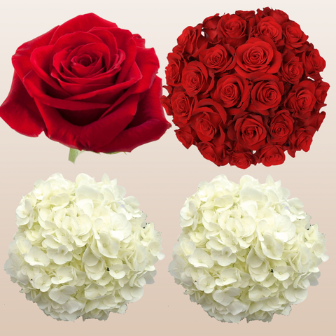 Flower Combo Box #8 Roses & Hydrangeas