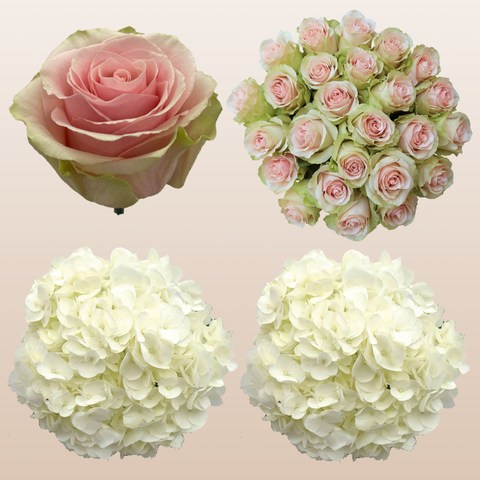 Flower Combo Box #8 Roses & Hydrangeas