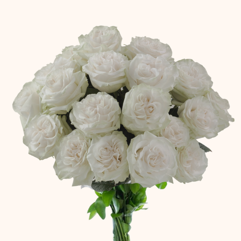 Full Moon Garden Roses