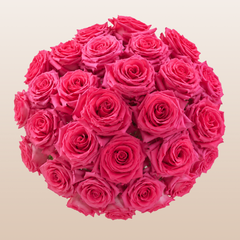 Pink rose bouquet beige background | EbloomsDirect