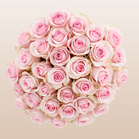 Pink rose bouquet beige background | EbloomsDirect