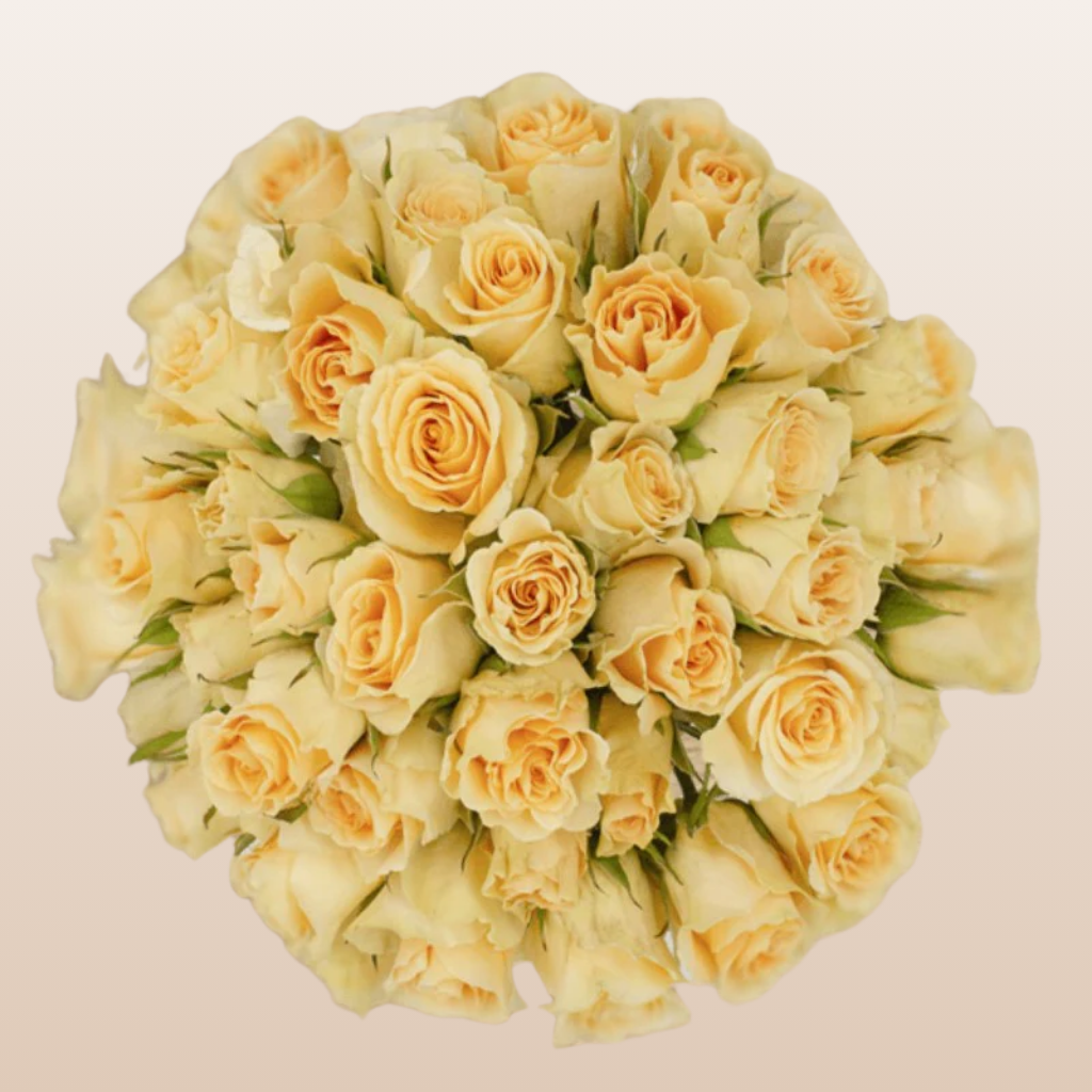 Girlie Folies Peach Spray Roses