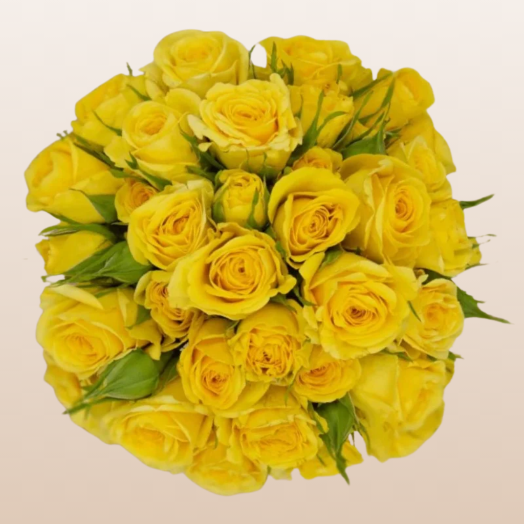 Golden Spray Roses Golden Blossom Yellow Spray Rose | Free Delivery Near Me - EbloomsDirect