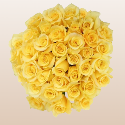 Golden Tower Roses