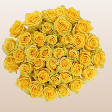 Gospel Roses