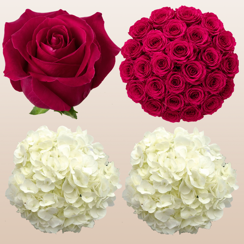 Flower Combo Box #8 Roses & Hydrangeas