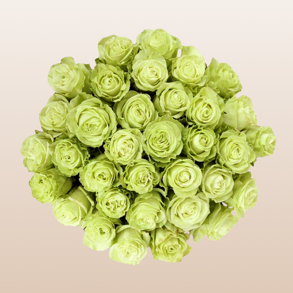 Green Tea Roses