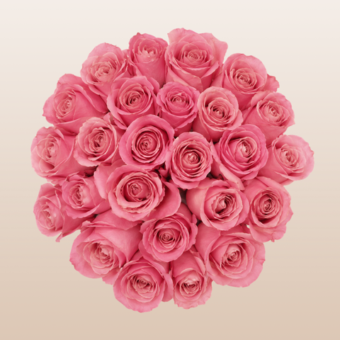 Hermosa Roses