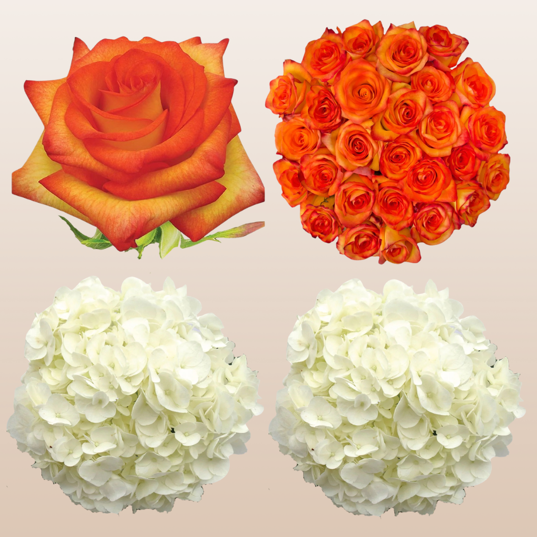 Flower Combo Box #8 Roses & Hydrangeas