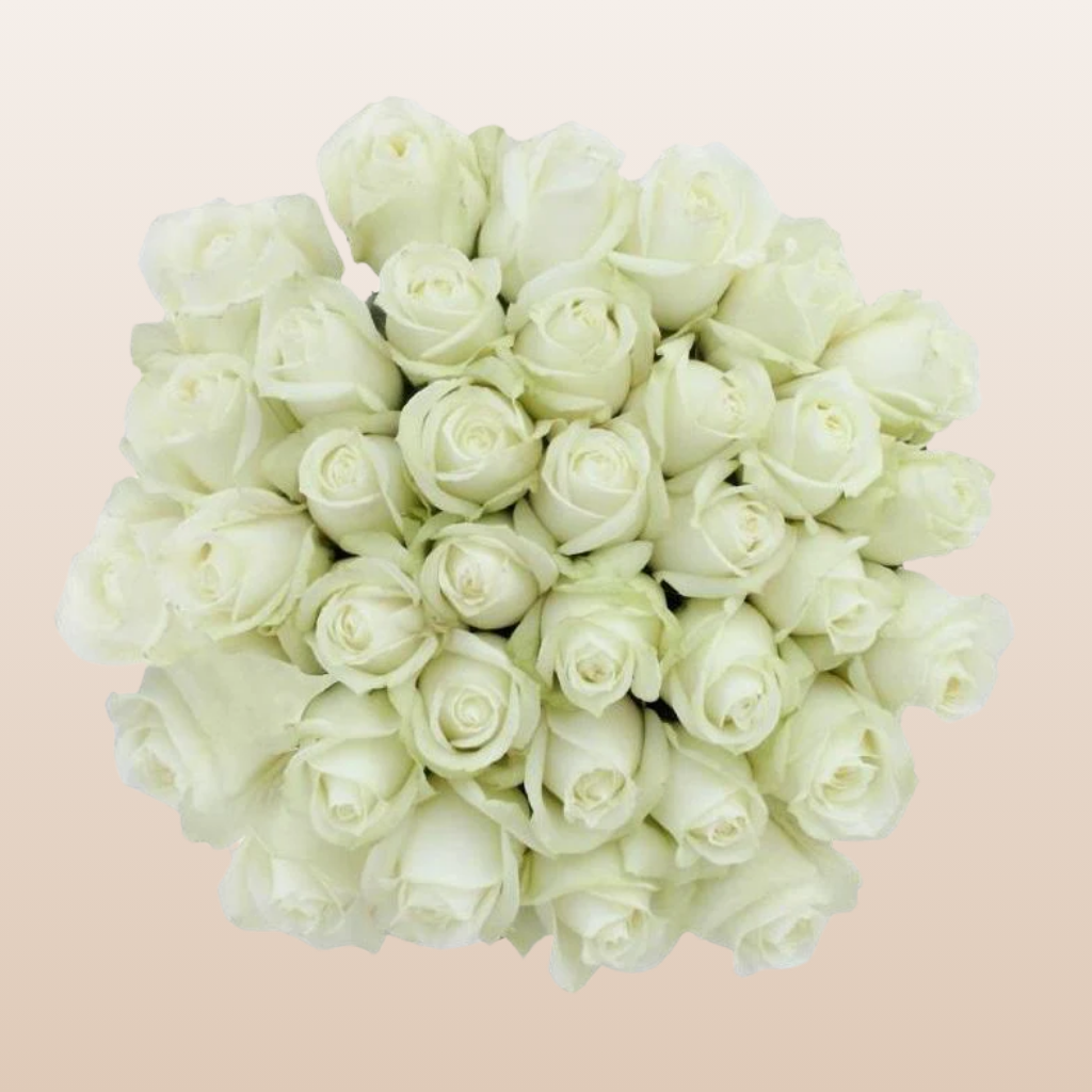 High & Pure Roses