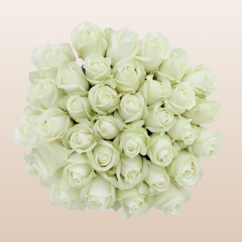 High & Pure Roses