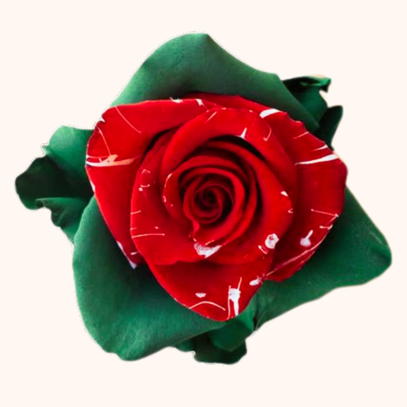 Holiday Sparkle Christmas Red & Green tinted Roses