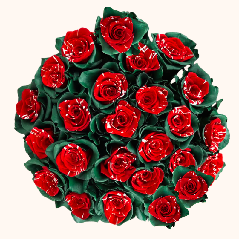 Holiday Sparkle Christmas Red & Green tinted Roses