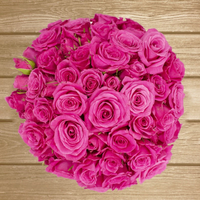 Hot Pink Folies Spray Roses - EbloomsDirect