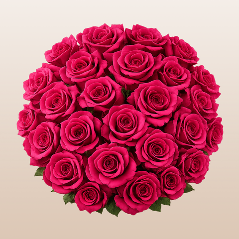 Hot Explorer Rose Variety - Hot Pink Roses near me - EbloomsDirect