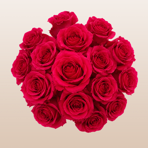 Hot Lady Rose Variety - Hot Pink Roses near me - EbloomsDirect
