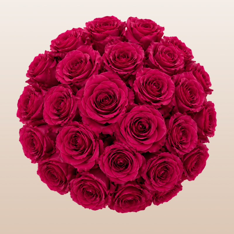 Red rose bouquet beige background | EbloomsDirect