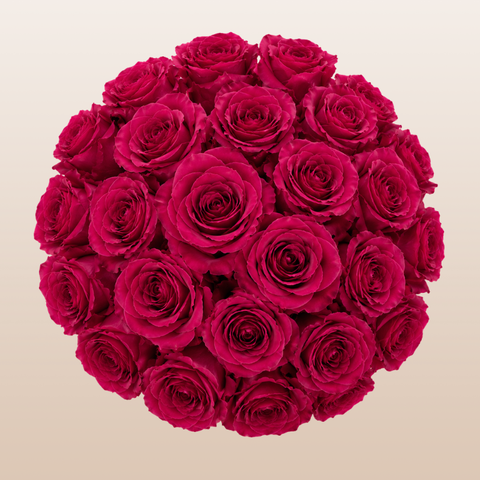 Red rose bouquet beige background | EbloomsDirect