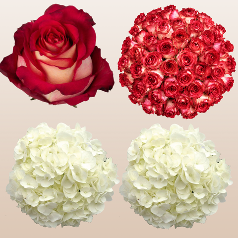 Flower Combo Box #8 Roses & Hydrangeas