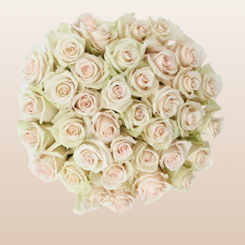 La Perla Roses