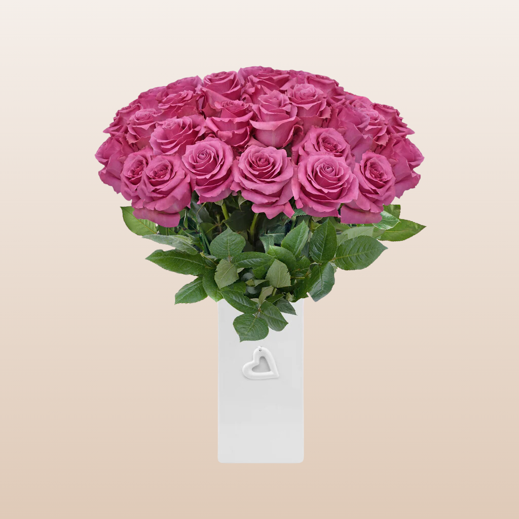 Lavender Roses