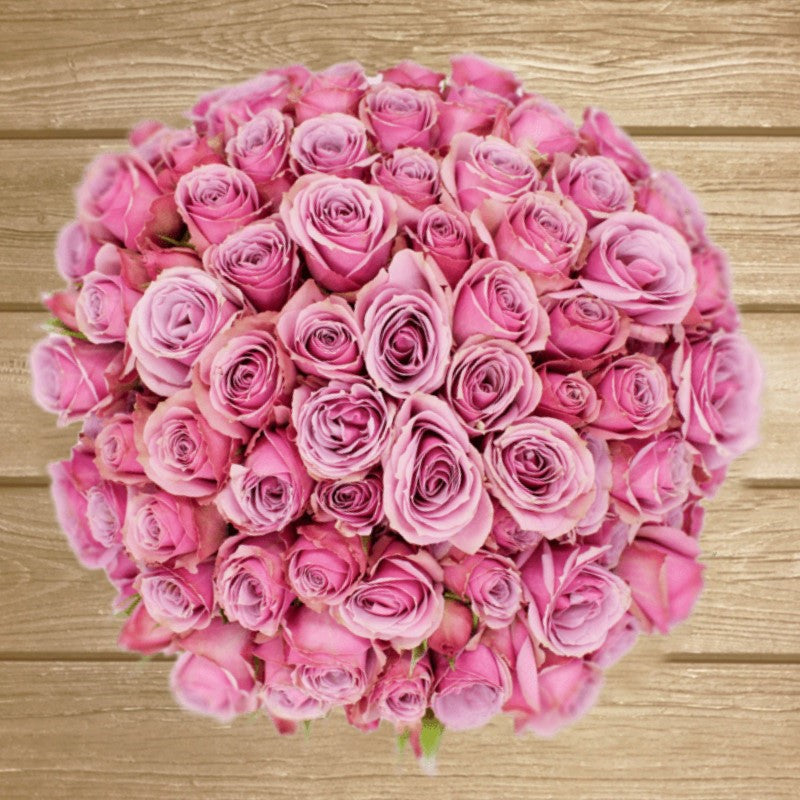 Lavender Irishka Spray Rose EbloomsDirect Eblooms Farm Direct Inc.