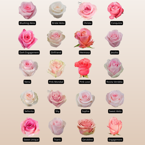 Light Pink Assorted Roses
