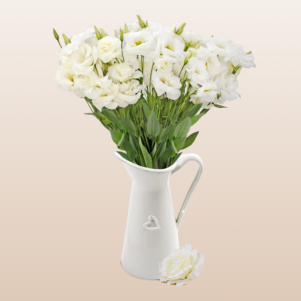 Lisianthus Extra White