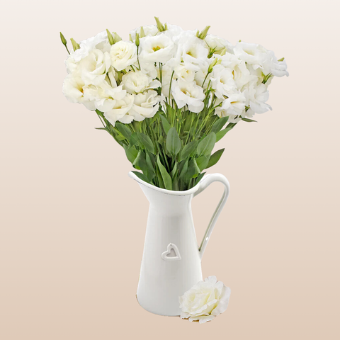 Lisianthus Extra White