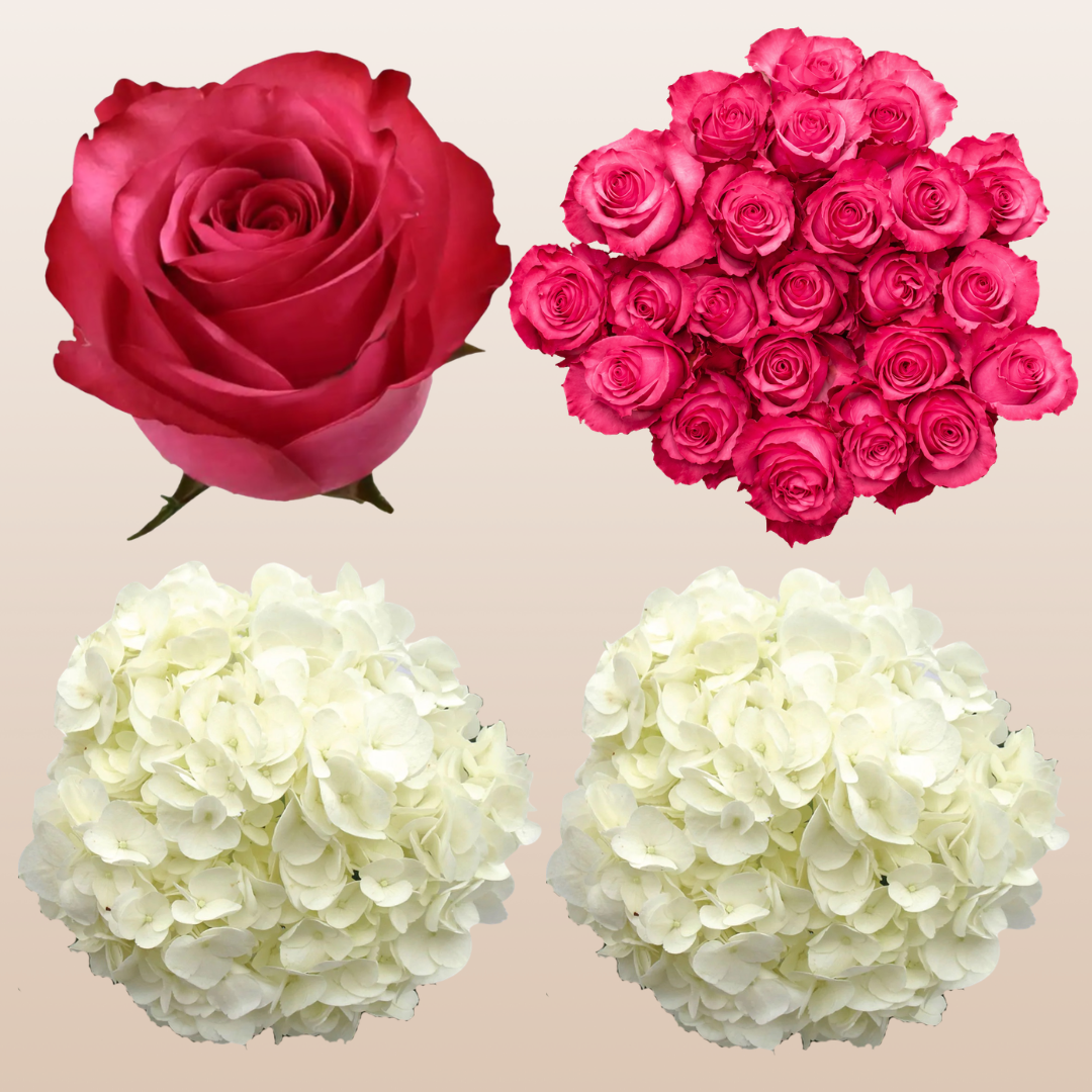 Flower Combo Box #8 Roses & Hydrangeas