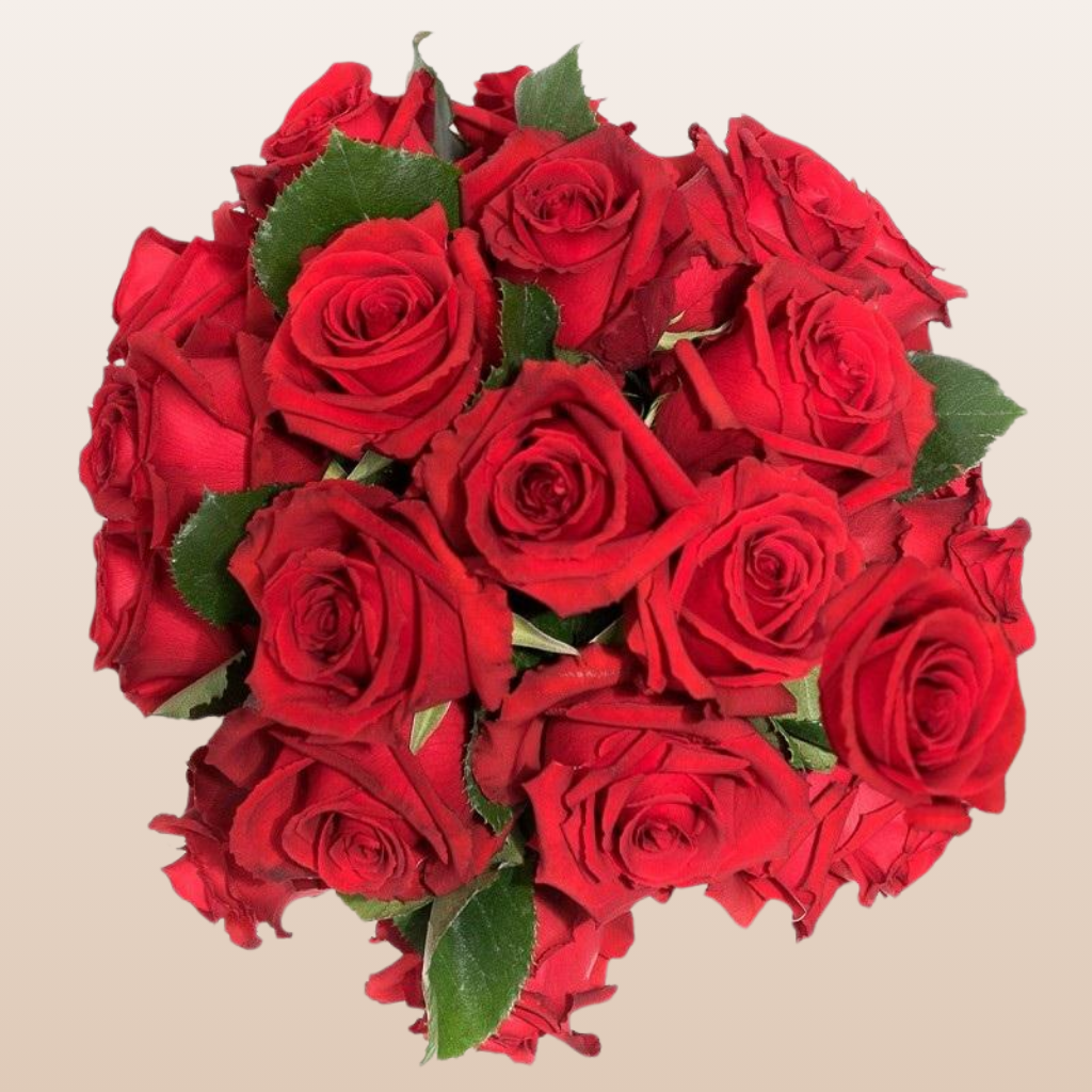Lotus Roses