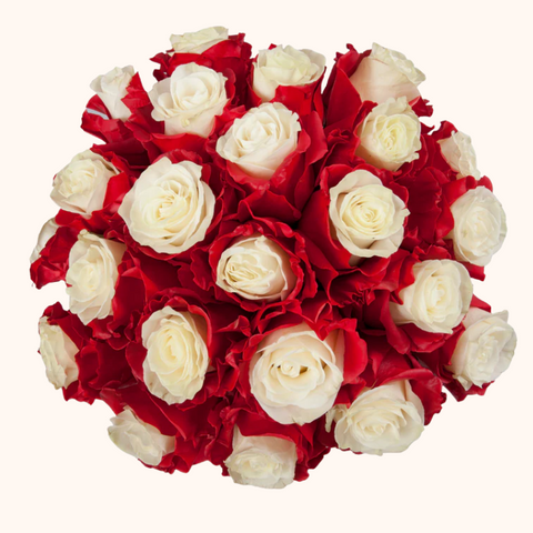 Sweet Love Red & White Tinted Roses