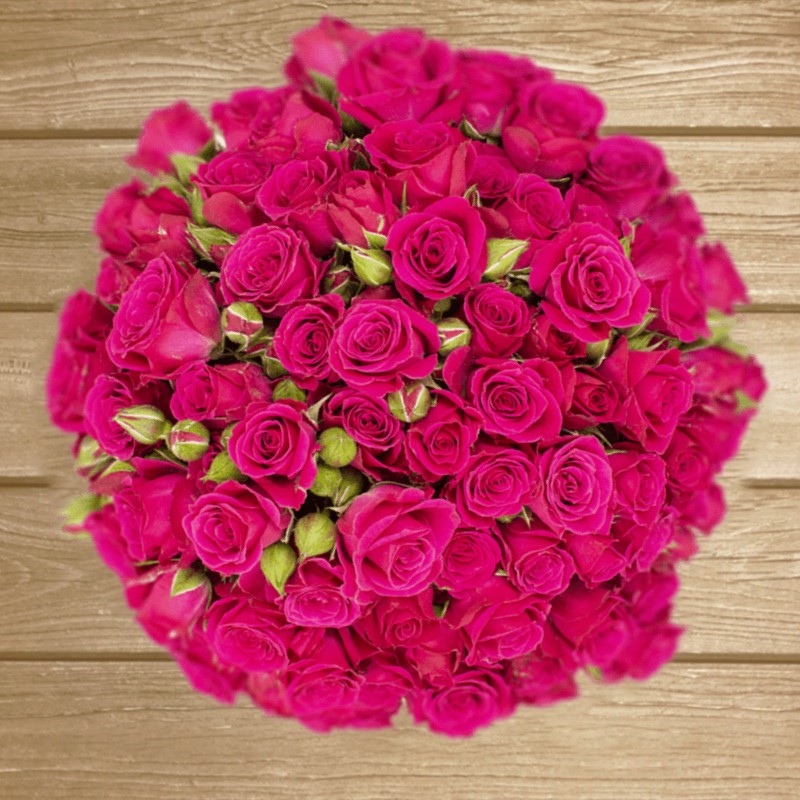 Lovely Lydia  Hot Pink Spray Rose - EbloomsDirect