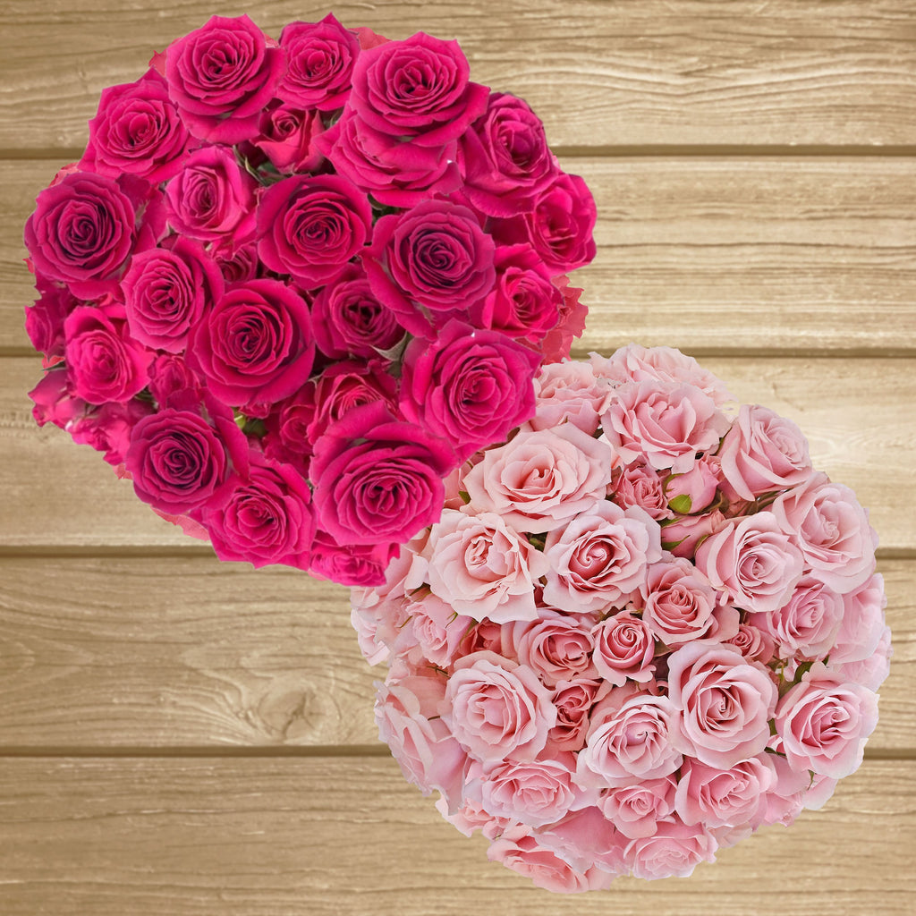 Spray Roses Duo lovely Lidia & Pink Majolica 40cm - Pack 120 Stems - EbloomsDirect