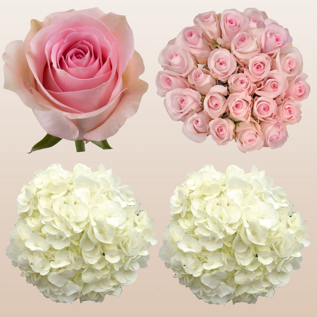 Flower Combo Box #8 Roses & Hydrangeas