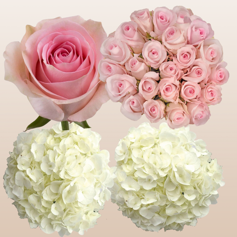 Flower Combo Box #8 Roses & Hydrangeas