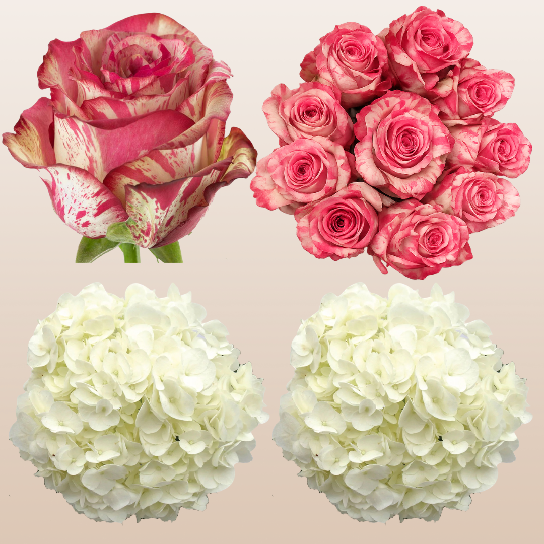 Flower Combo Box #8 Roses & Hydrangeas