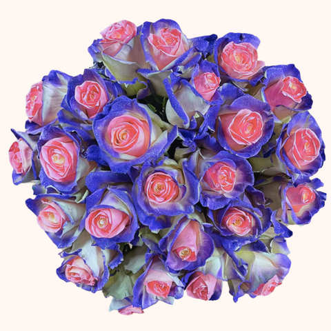 Magical Princess Tinted Roses