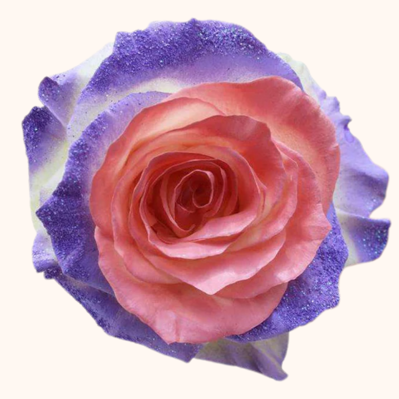 Magical Princess Tinted Roses