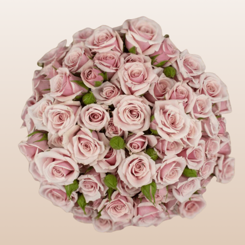 Majolika Light Pink Spray Roses