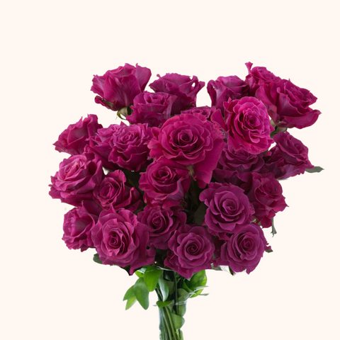 Mamy Blue Garden Roses