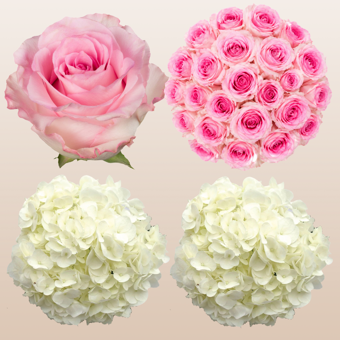 Flower Combo Box #8 Roses & Hydrangeas