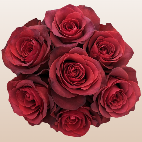 Matilda Roses
