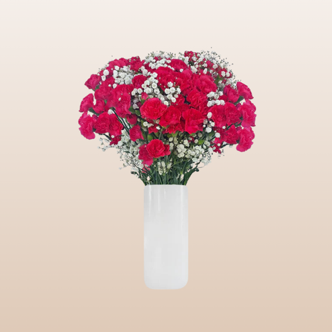 Mini Carnation Hot Pink Bqt