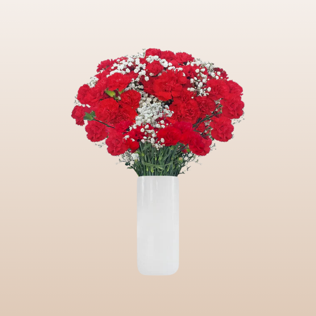 Mini Carnation Red Bqt