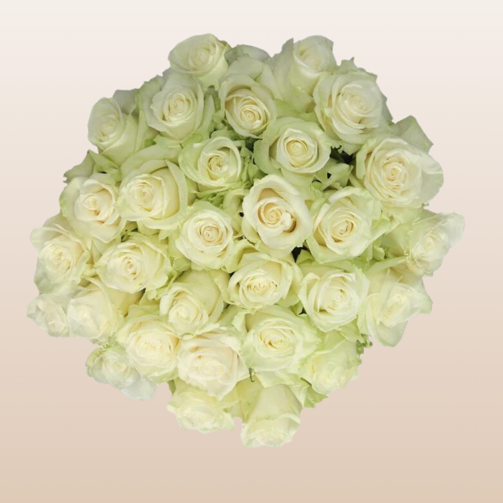 Mondial Roses Mondial Roses – EbloomsDirect